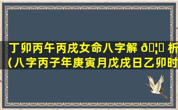 丁卯丙午丙戌女命八字解 🦁 析（八字丙子年庚寅月戊戌日乙卯时女命）